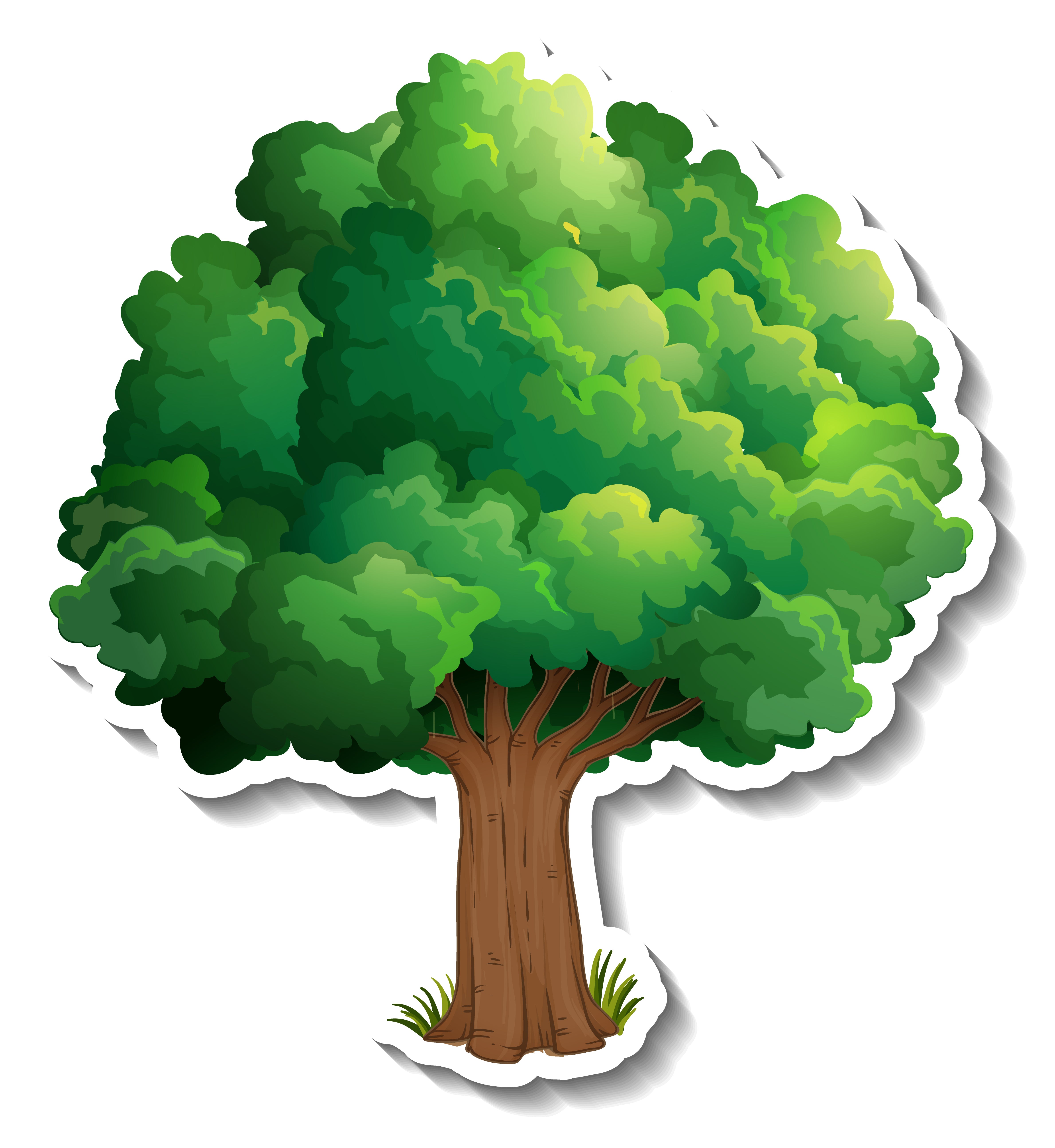 🌳 We will plant a tree for you